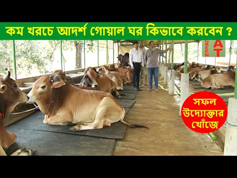 ভিডিও: পাত্রের জন্য সর্বোত্তম শেড ফুল: পাত্রে ছায়া ফুল বাড়ানো