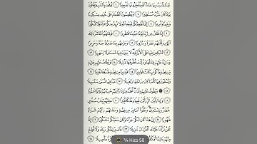 سورة الإنسان | علاء عقل
