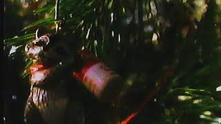 Hallmark Christmas Ornaments (1988 Commercial)