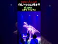 ギガノトサウルス鳴き声 ガオー(吠)！！#shorts #ディノアライブ #ダイナソーサマーキャンプ