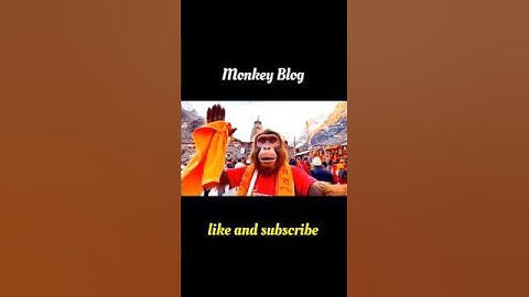 viral monkey vlog || #shortsfeed #shorts #ai #monkeyvlog #kedarnathdarshan #music