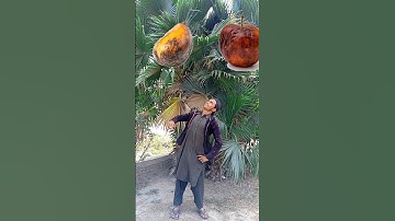 ya rabbe mustafa tu mujhe hajj pe bula🕋😭🤲#shorts #hajj #islamicshorts #youtubeshorts #viral
