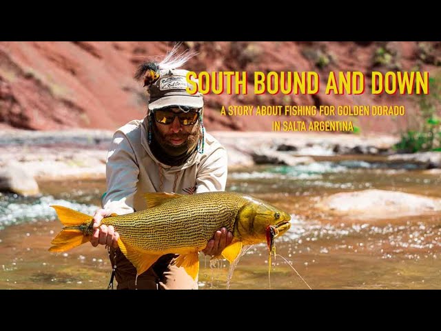 Golden Dorado River Cruiser - Fly Fishing for Golden Dorado on the Parana 