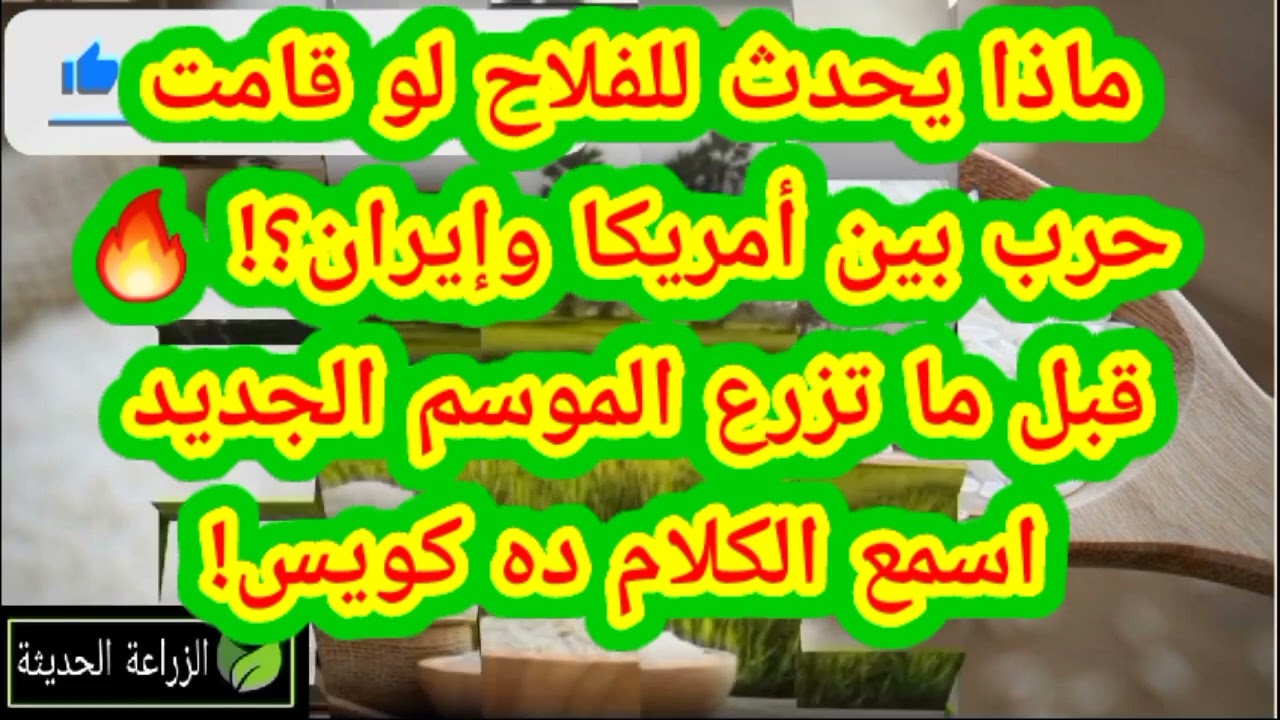 ماذا يحدث للفلاح لو قامت حرب بين أمريكا وإيران؟! 🔥