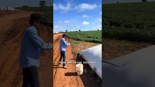 Mobile Grain Storage System