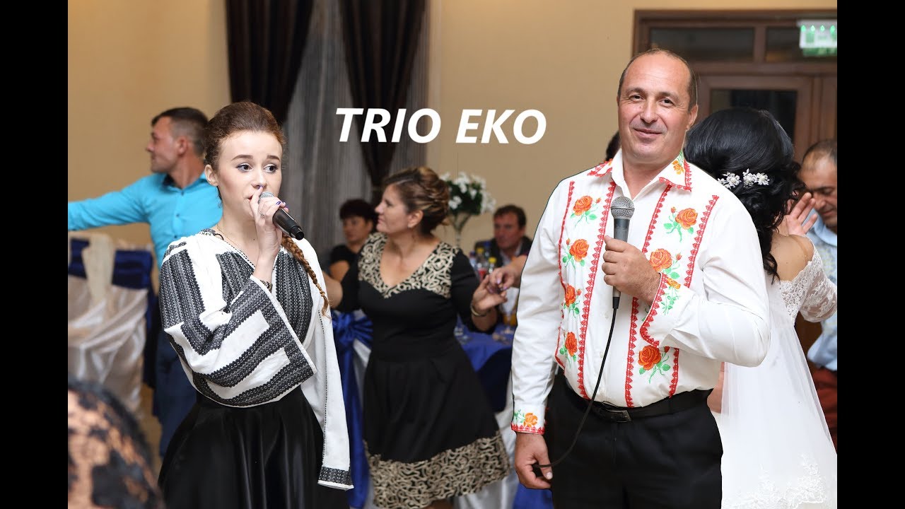 Formatia TRIOEKO - Zebil-4: 2017