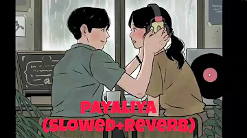 payaliya (slowed+reverb) #slowedreverb #slowedandreverb #oldisgold