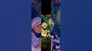 أهل المراجل نادى القدس لبينا 2024 لايك اشتراك 