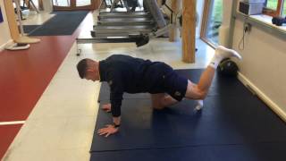 4 point hip mobility