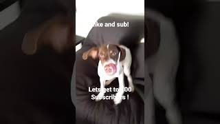 Youll Never Believe What He Says