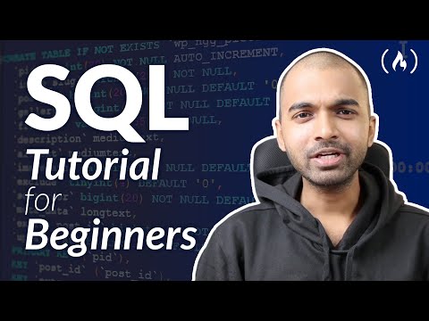 SQL Tutorial For Beginners (and Technical Interview Questions Solved)