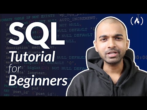 SQL Tutorial for Beginners (and Technical Interview Questions Solved)