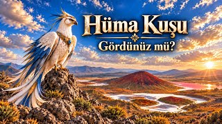 Hüma Kuşu Yakalanır Mı?