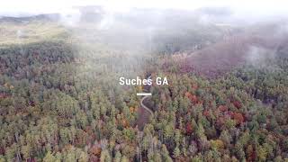 Suches GA