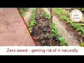 Zero weed - getting rid of weeds in a natural way [ ನೈಸರ್ಗಿಕವಾಗಿ ಕಳೆ ನಾಶದ ಬಗ್ಗೆ ]