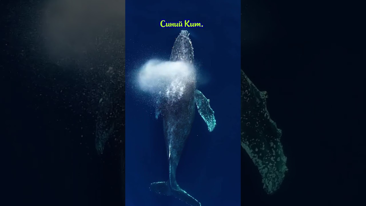 Places that don’t feel real. 