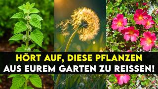 4 „nutzlose“ Pflanzen sind in Wirklichkeit Superfoods (ignorieren Sie sie nicht)