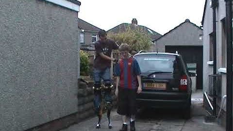 projump tutorial - Walking