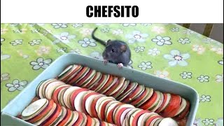 RANDOM MEMES #282