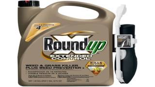 Roundup Weed and Grass Killer III Ready to Use Comfort Wand Sprayer 1.33 Ga
