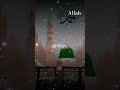 Main Aashiq ke Rasul Hun Tum Jante Nahin #love #carnaticmusic #unfrezzmyaccount