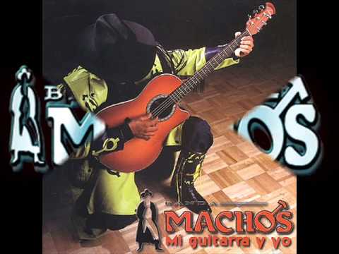 Mi Guitarra Y Yo - Banda Machos (letra de la canción) - Cifra Club
