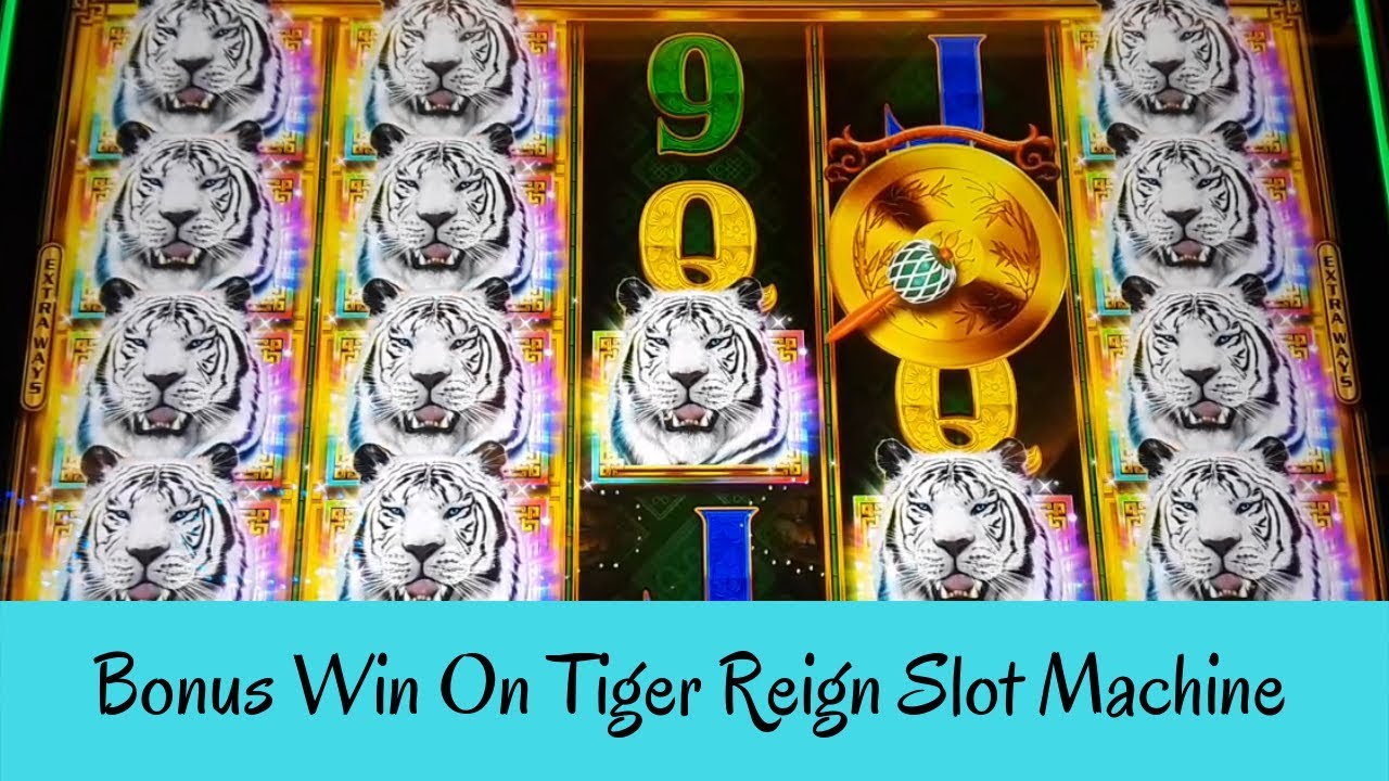 2021 slot machine videos