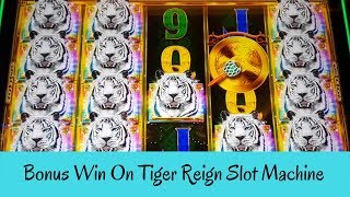 BONUS WIN ON TIGER REIGN SLOT MACHINE - SunFlower Slots