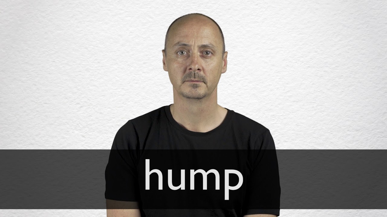 HUMP definition in American English
