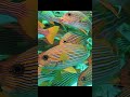 GO diving #trending #fish #scubadiving #ocean #cool #relaxing #beautiful #mustgo