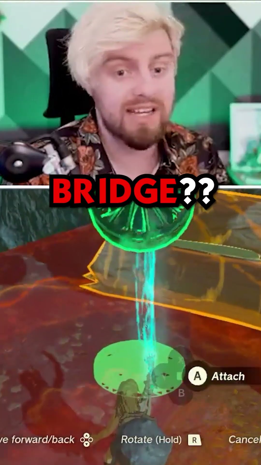 About Koroks in Tears of the Kingdom...