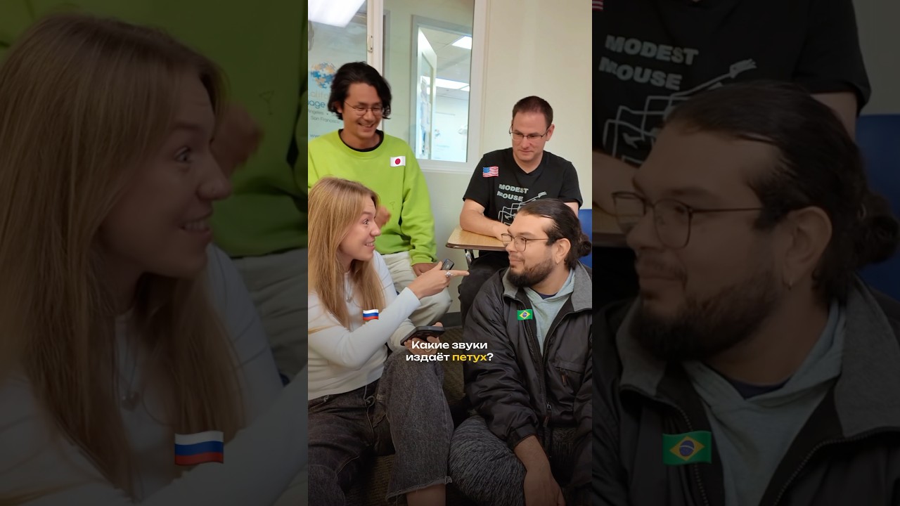 Заставила учителя мяукать в языковой школе в Калифорнии 😅🇺🇸