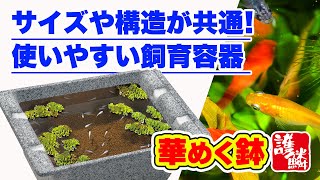 【スドー 華めく鉢】新商品 | 2023年春発売