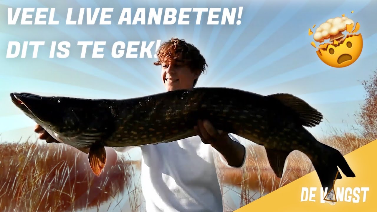 VEEL SNOEK IN ONDIEP WATER!! en ik vang de zelfde