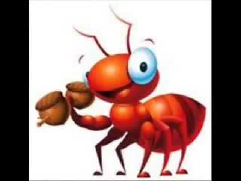 Anasheed النملة والصرصور طيور الجنة بدون ايقاع Anachide أناشيد 