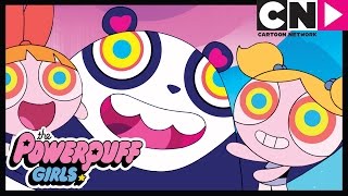 Party panda! | the powerpuff girls | cartoon network