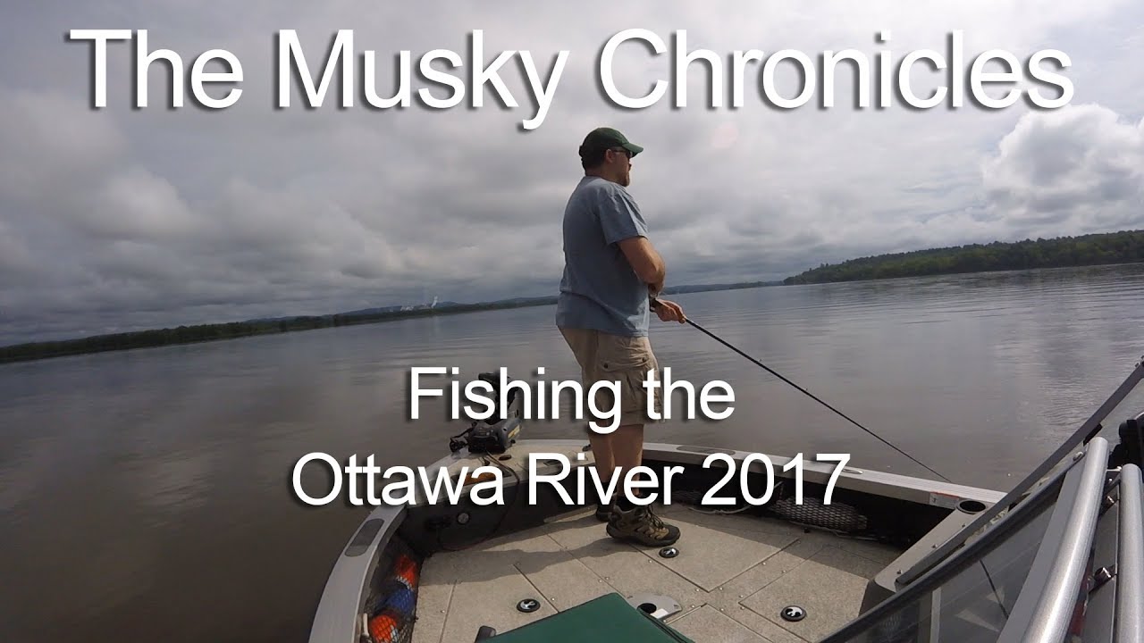 Musky Fishing on the Ottawa River 2017 YouTube
