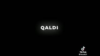 musiqi ruhun qidasıdır