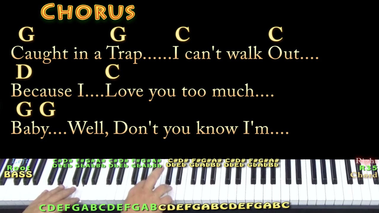 Suspicious Minds (Elvis Presley) Piano Cover Lesson in G with Chords