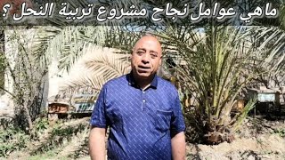 ماهي عوامل نجاح مشروع تربية النحل مع مربي النحل حسين سريح أبو أحمد