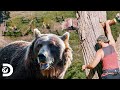 Corrida de obstáculos com perseguição de urso | Quem Vence: Homem ou Fera? | Discovery Brasil