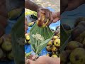 Nongu Pathaneer (Palm wine) for this scorching summer heat #shorts #nongupathaneer #palmwine #nongu