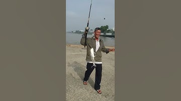 câu cá phà vàm cống