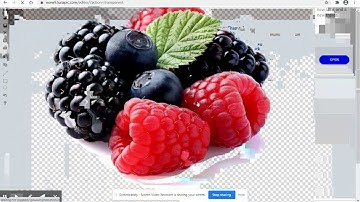 How to make images transparent with LunaPic-school-projects