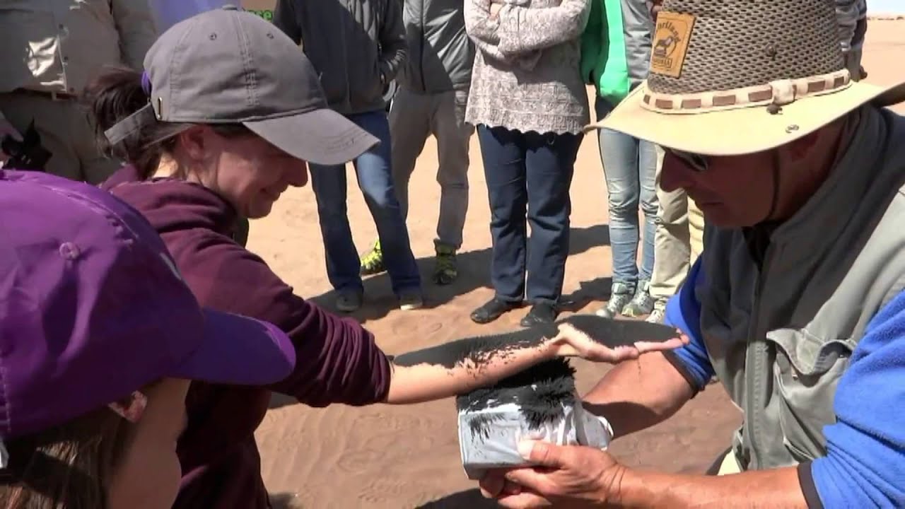 Tommys Living Desert Tour