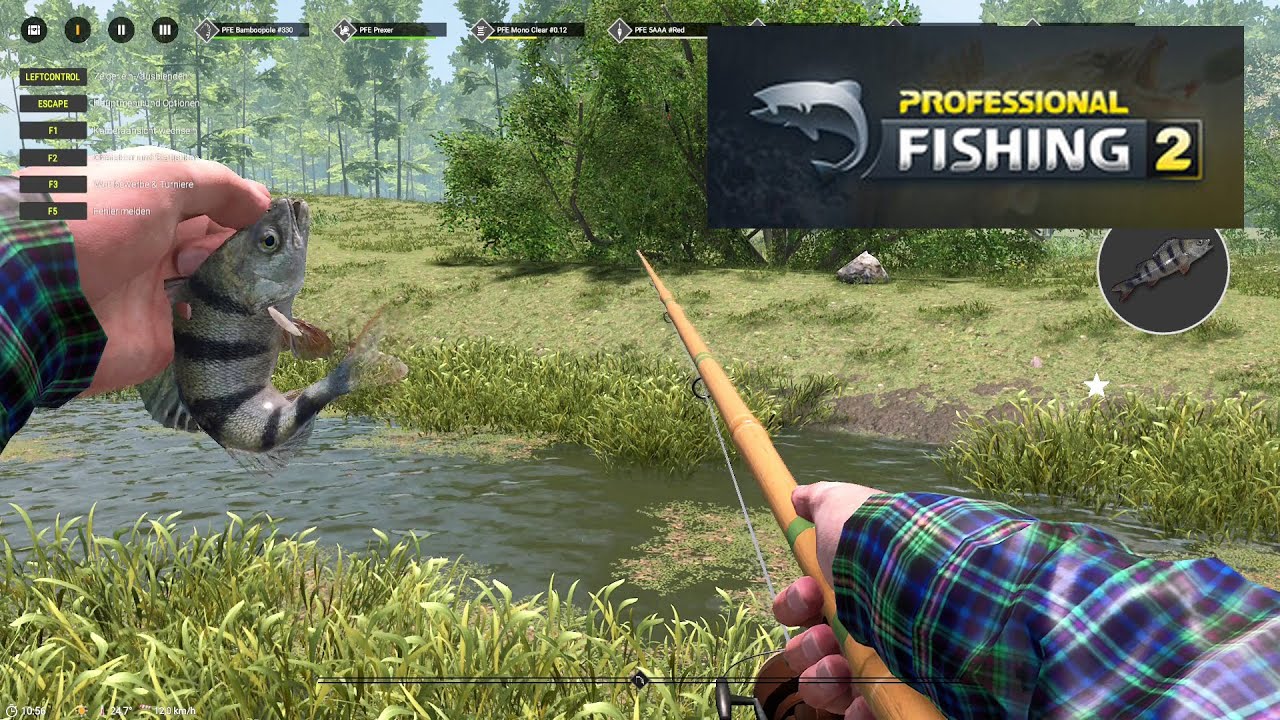 #2 Fangerfolge bei Professionel Fishing 2