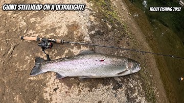 Only Lure You NEED to Catch GIANT River Steelhead or Trout!