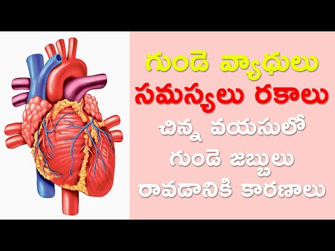 చిన్న వయసులో గుండె జబ్బులు రావడానికి కారణాలు | గుండె వ్యాధులు - సమస్యలు రకాలు | Mee Arogyam