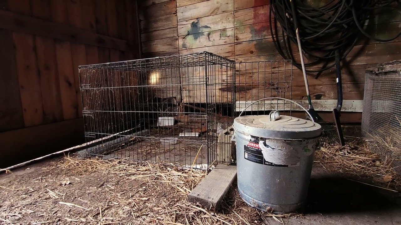 Jouska (Official Music Video)