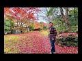 直播大阪郊區「妙見之森」楓葉之旅
